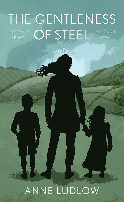 The Gentleness Of Steel Book Cover