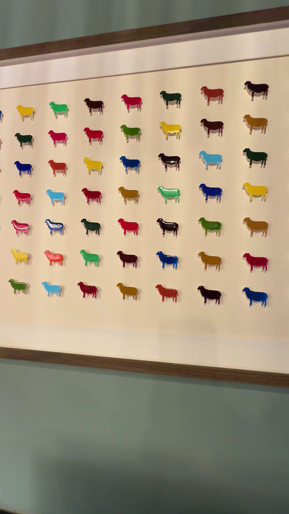 Thumbnail: The Highland Flock | The Colourful Series