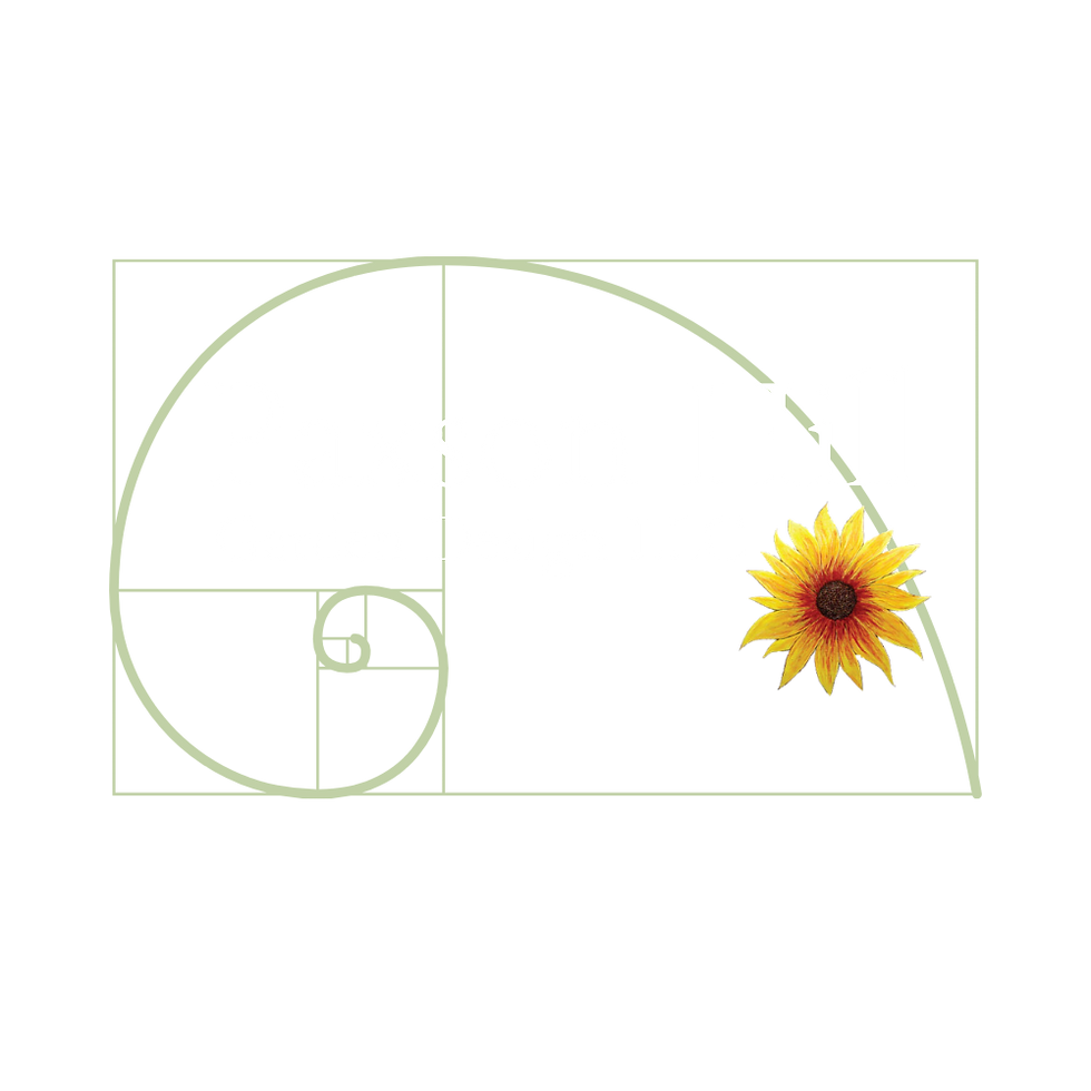 paxson hill GD logo white2.png
