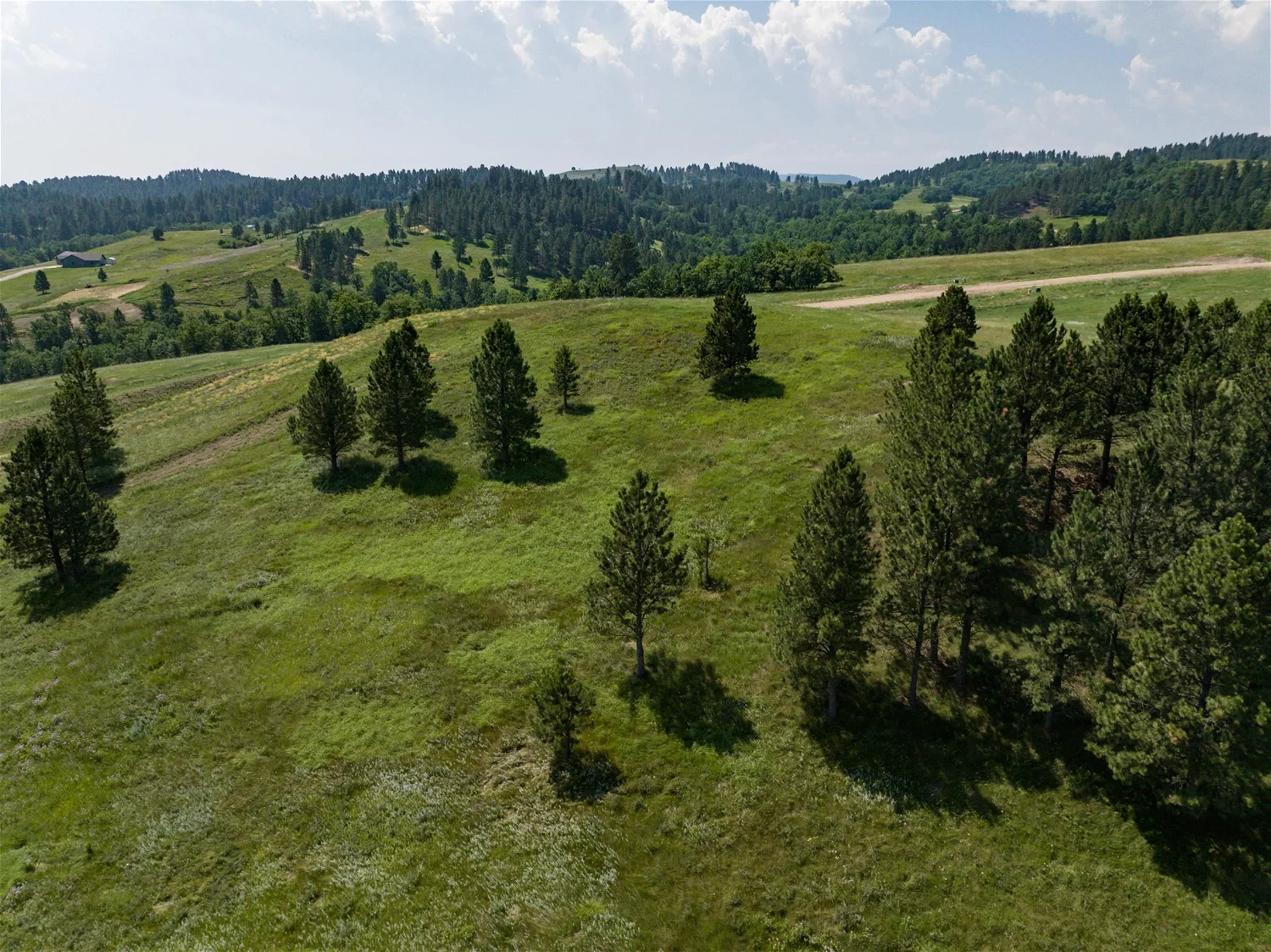 Learn More About Land for Sale Dakota Estates