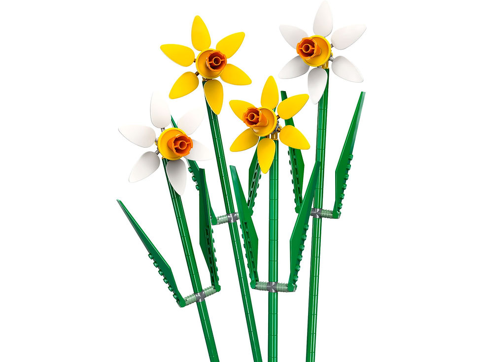 Miniaturbild: LEGO® Icons 40747 Narzissen