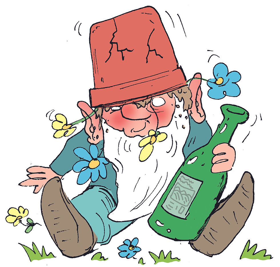 WORG gebied Elzenbroek en Worfkes