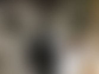 Oproep: wie helpt Annik en haar vijf katten uit een brandgevaarlijke situatie?