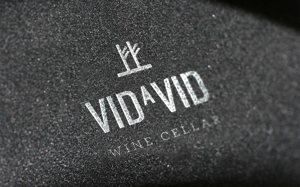 vidavidlogo.jpg
