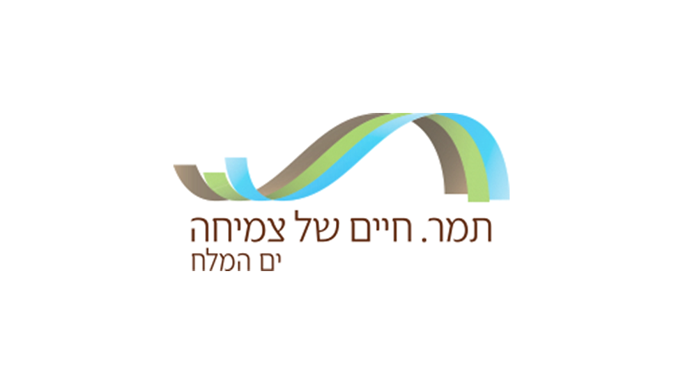מ.א. תמר שקוף