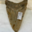 Thumbnail: Megalodon Tooth
