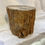 Thumbnail: Petrified Wood Limb