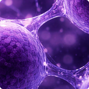 ANA Screen (Antinuclear Antibodies)