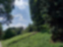 20230812_144427.jpg