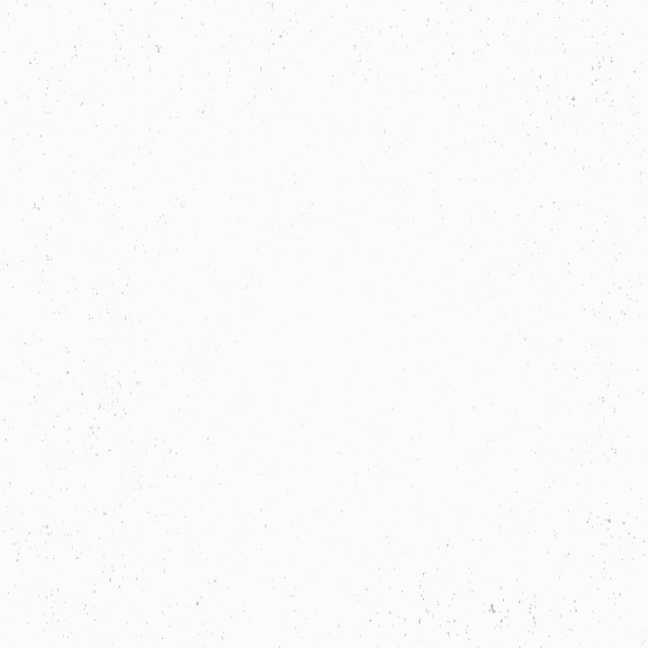 Motion Graphic