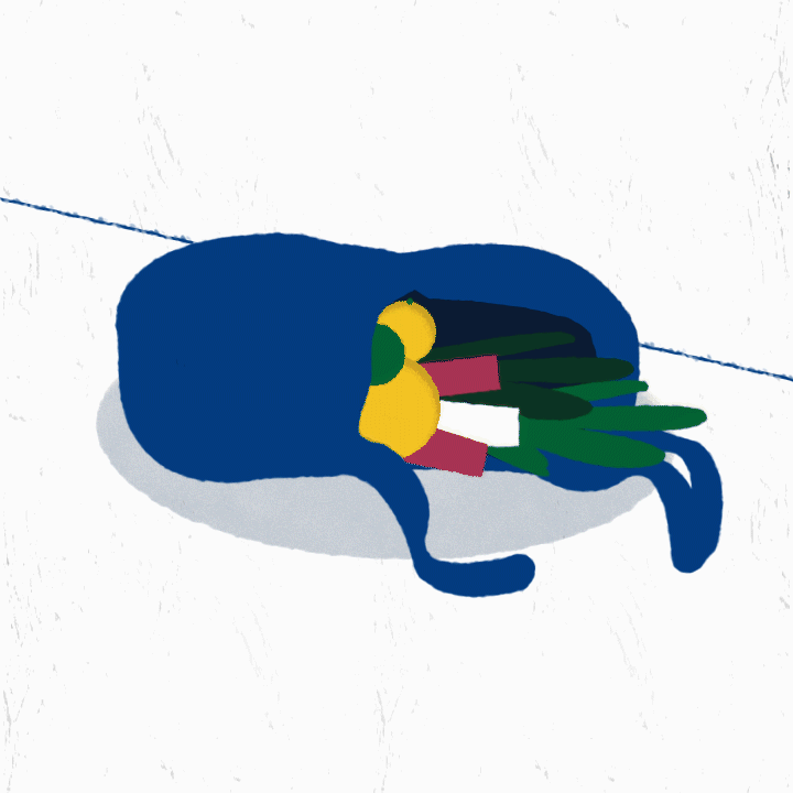 Motion Graphic