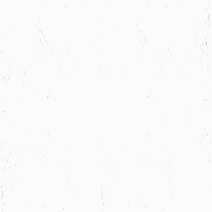 Motion Graphic
