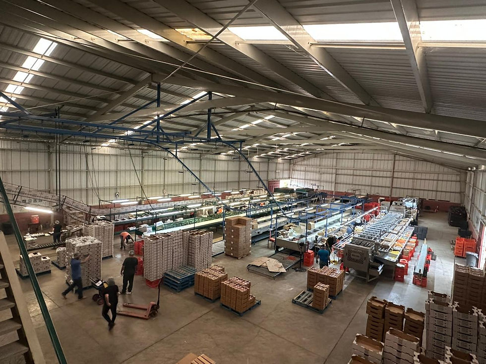 WhatsApp Image 2025-06-19 at 13.22.58.jpeg