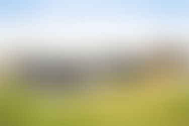 Smarrigt hus säljes