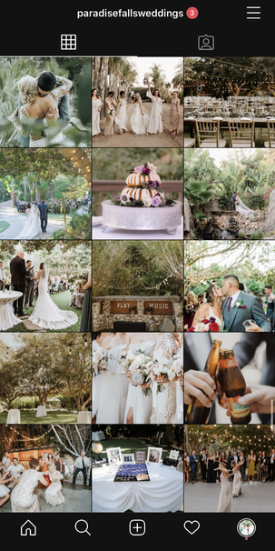 Paradise Falls Instagram Content Creation