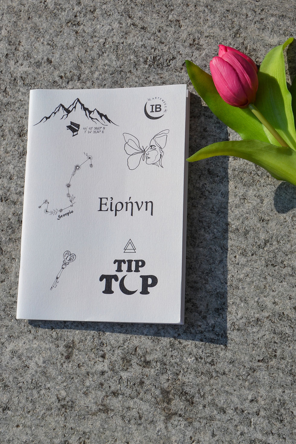 Miniatura: Quadernini