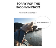 Screen Shot 2019-12-02 at 3.45.31 PM.png