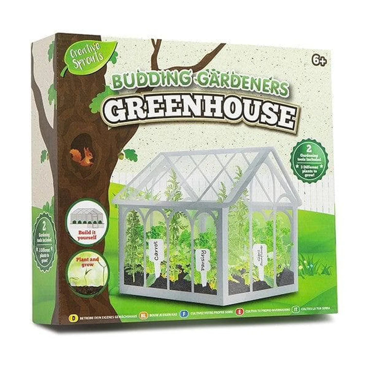 Build Your Own Mini Greenhouse | Charms Sensory Box