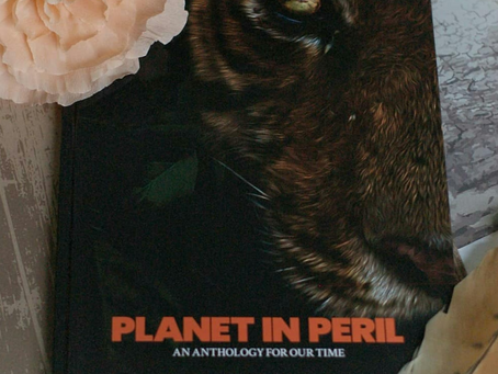 Planet In Peril - Fly on the Wall Press