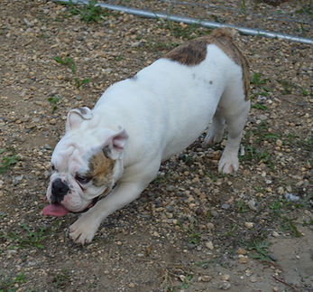 DSC_0984_edited.jpg