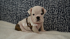 DSC_0519_Watermarked.jpg