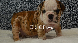 DSC_0501_Watermarked.jpg