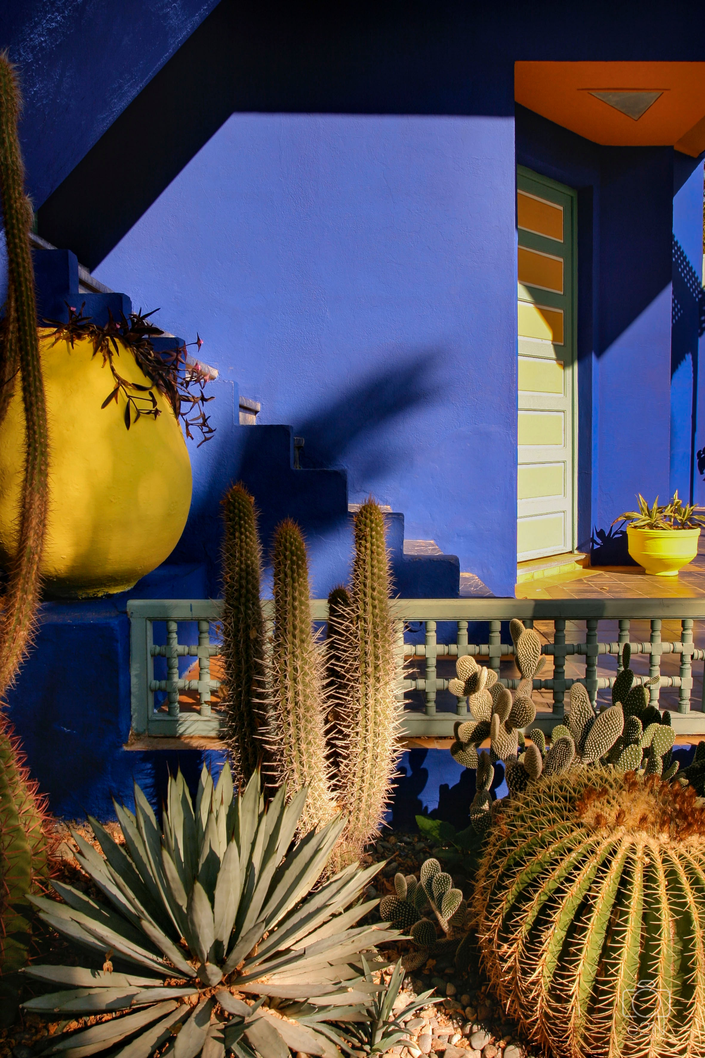 Jardin de Majorelle, détail 1, Marrakech