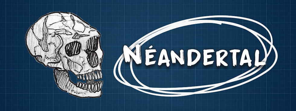 EXPO. NÉANDERTAL (2022)