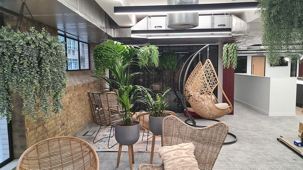 Plants For Offices