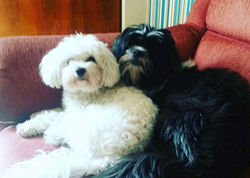 Meu Deus...olha ai meus sobrinhos lindos que amo muuuuuuuuito muito muito na vida...