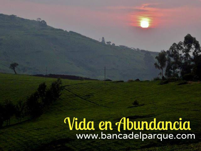 V en A 45