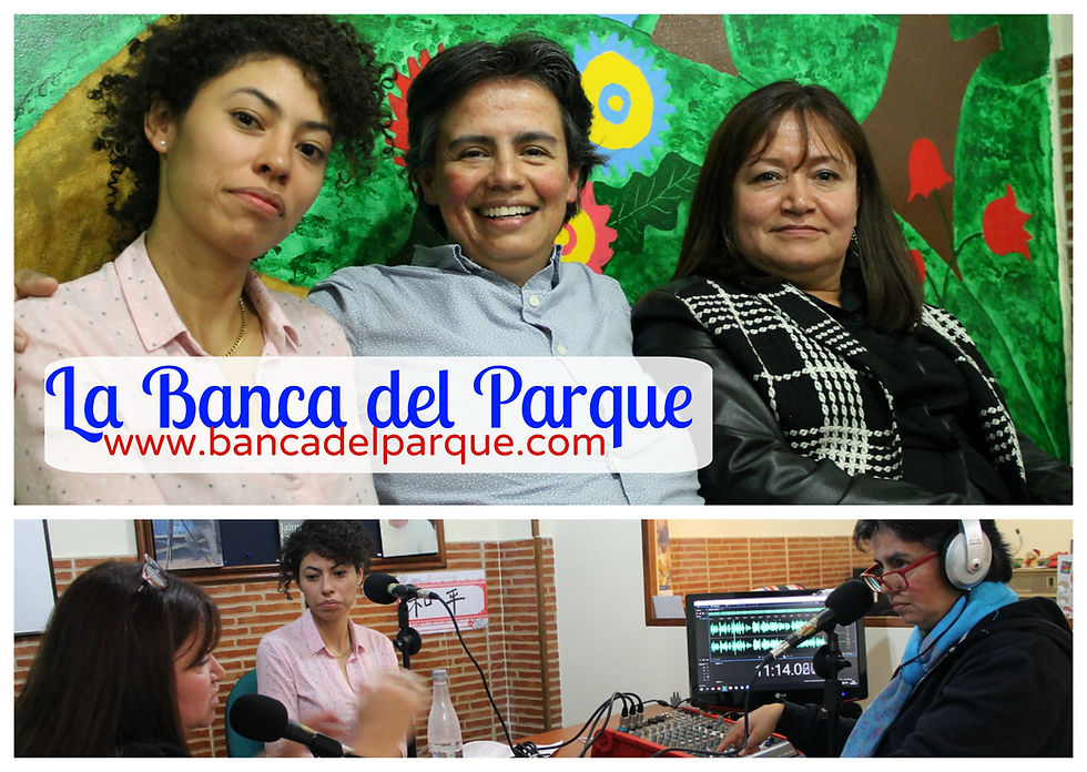 17.03.2017 - La Banca del Parque (2)