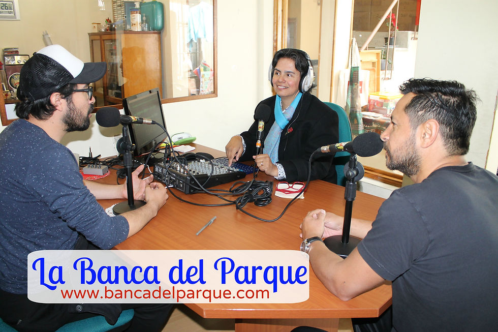 10.02.2017 - La Banca del Parque (1)