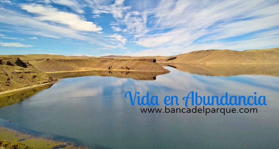 29.03.2017 - Vida en Abundancia