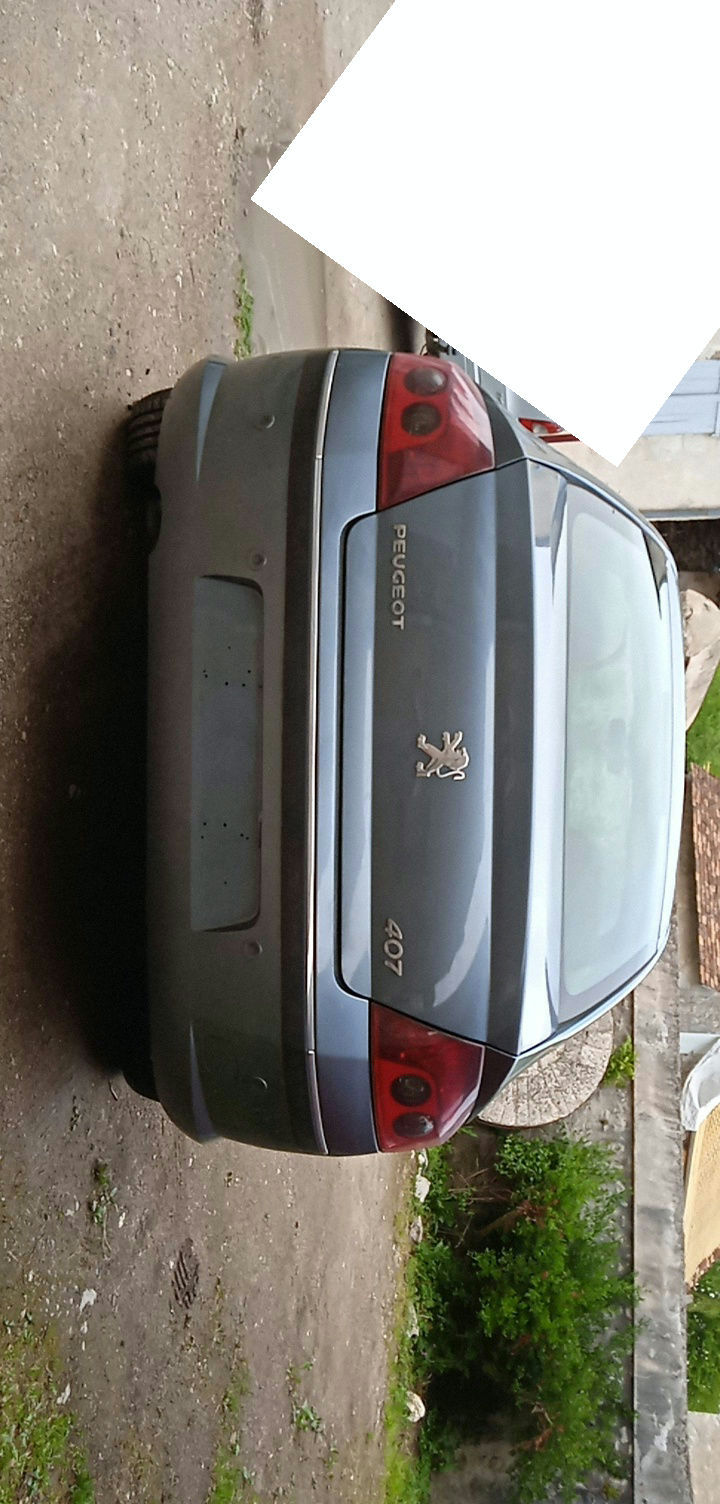 Miniature : Peugeot 407