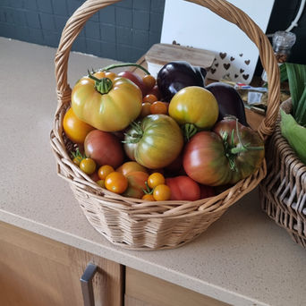 The September Garden Is Still Giving
