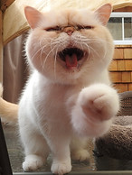 DSCN9553.JPG