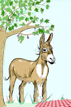 donkey-fig.jpg