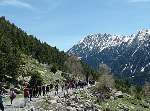 PALLARS.png