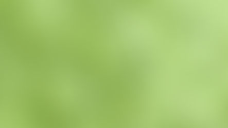 The "It Girl's" Green Elixir: Deconstructing Matcha's Main Character Moment