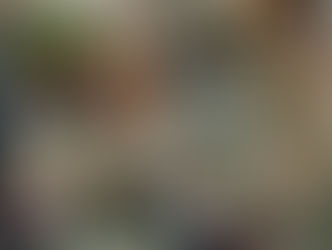 SOUPER DES PREMIERES : Un beau moment de convivialité... 