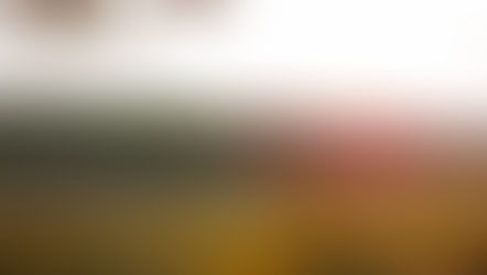 [54] Bình yên trong tâm hồn