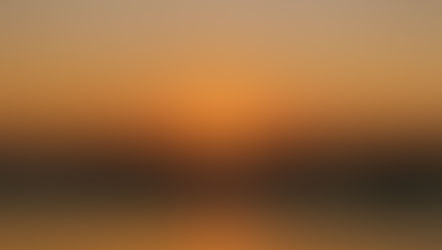 [74] Bình minh xuân