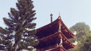 [19] Dịu dàng xuân khẽ hát