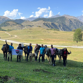 tusheti-laura-group-horses.jpeg