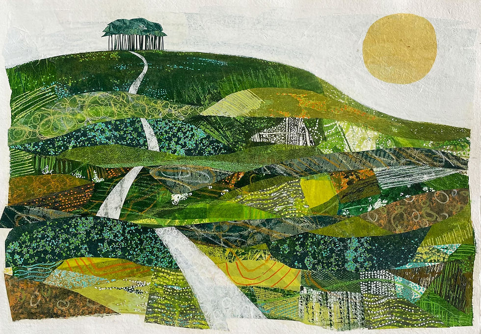 The Walk To The Woods