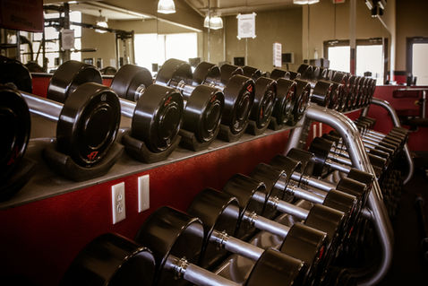 Rows of dumbbells in Burn Fitness 24/7 gym
