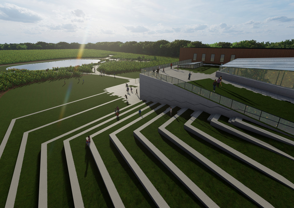 Grass Steps_01.jpg