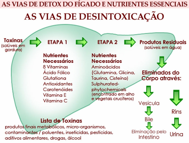 Destoxificação Hepática