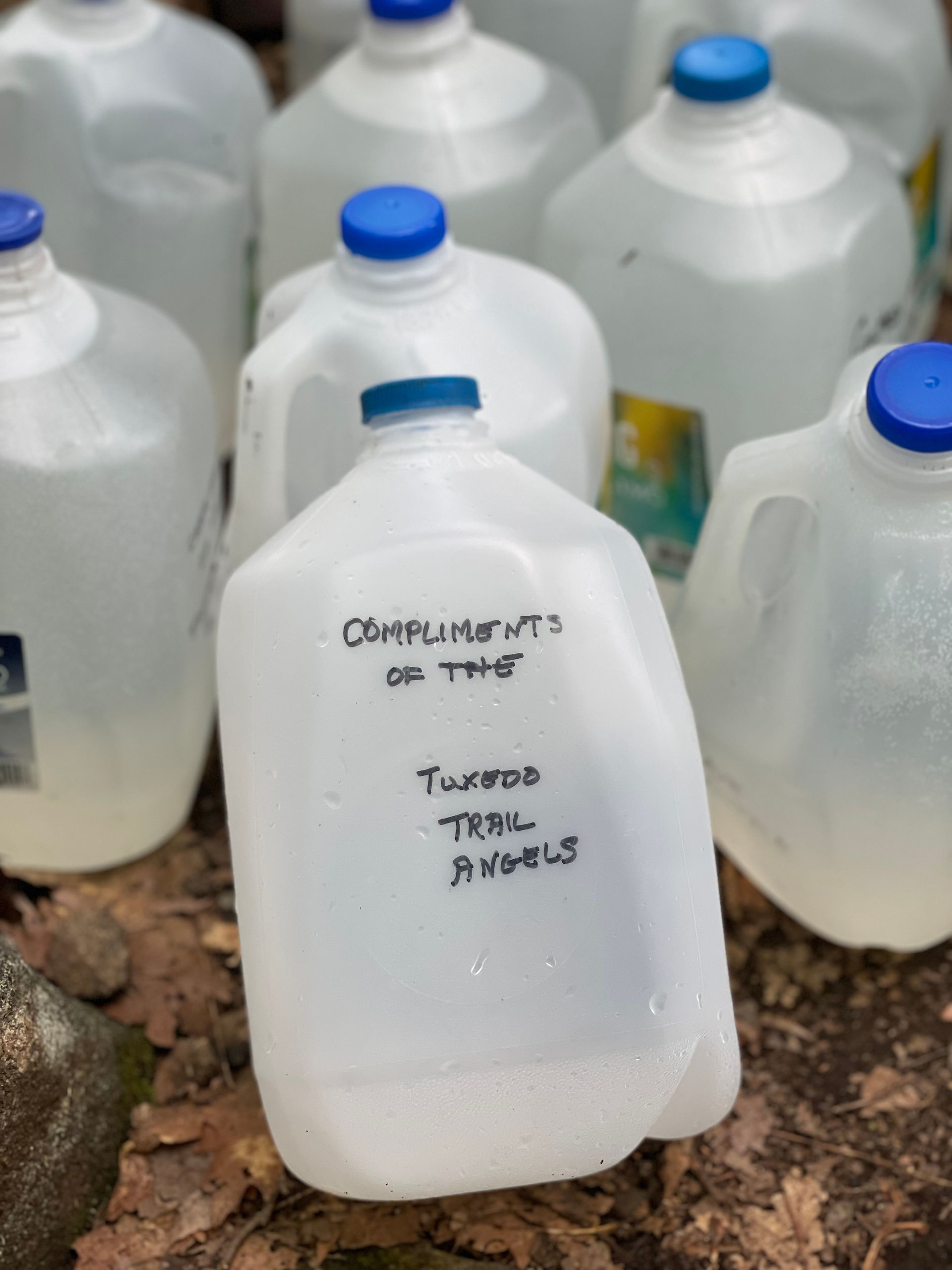 Water cache